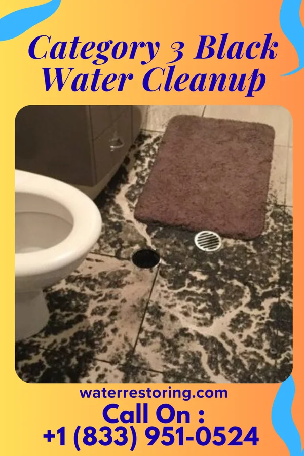 Category 3 Black Water Cleanup in Kaibab Estates West, AZ